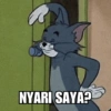 Tom and Jerry Meme 14