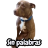 Sin palabras