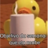 Shitpost? 5