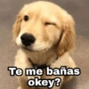 Te me bañas okey?