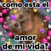 ❤️ Changuitos enamorados 💘 12