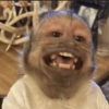 Monkeys 5