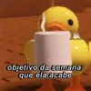 MEMES DE DESENHOS 12