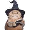 Kata2 kucing penyihir 9