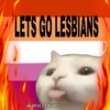 LETS GO LESBIANS @Jerus_Stickers