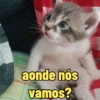aonde nós vamos?