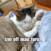 Bobby Kucing Prabowo 🐱 28