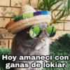 Hoy amanecí con ganas de lokiar