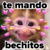 ❤️ Changuitos enamorados 💘 3