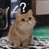 احن