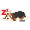 N N Z PURINA