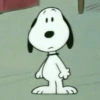 Snoopy. | @ocenferios  Haki. 8