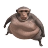 Monyet roblox / monkey  8