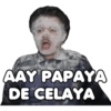 Memes 14