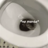GATINHOS REAGINDO 13