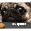 eu quero