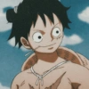 Monkey d. luffy 23