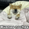 @Harley Stickers Buenas noches