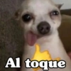 Peyitos Bonitos❤️🐕🥈 7