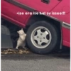 *iso ora iso hal su isseo!!!