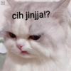 cih jinjja!? NIDAUIGDE