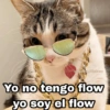 K@Harley Stickers Yo no tengo flow yo soy el flow