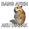 Random jail bgt 9