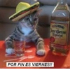 Lunes a viernes  12