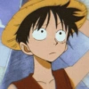 Monkey d. luffy 14