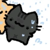 Cat 7