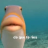 de que te ries