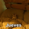 Rreacciones para JUEVES 4 16