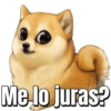 Memes pa’ no pelear v2 13