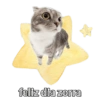 feliz dia zorra