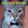 listo para el coito