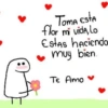 Toma esta flor mi vida, Lo Estas haciendo muy bien. Te Amo