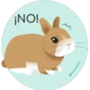 BunnyLovers 12