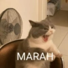 MARAH