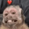 Monitos bonitos🐵✨ 11