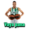 COOSUR SPALDING indendess Vaya pana STALDING des