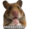Anomali Binatang 14