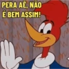 Memes do Pica-Pau  13