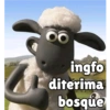 OO
ingfo
diterima
bosque