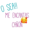 O SEA!!
ME ENCANTAS
CANON