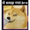 में समझ गया bro
