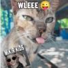 MIKIR KIDS WLEEE