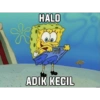 HALO ADIK KECIL