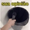 sua opinião