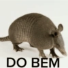 Pra qualquer ocasião ou não 23