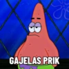 8: Vi GAJELAS PRIK